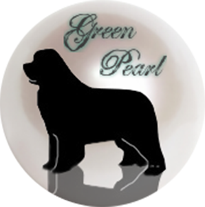 logo domaine green pearl