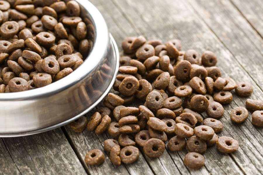 alimentation canine et féline