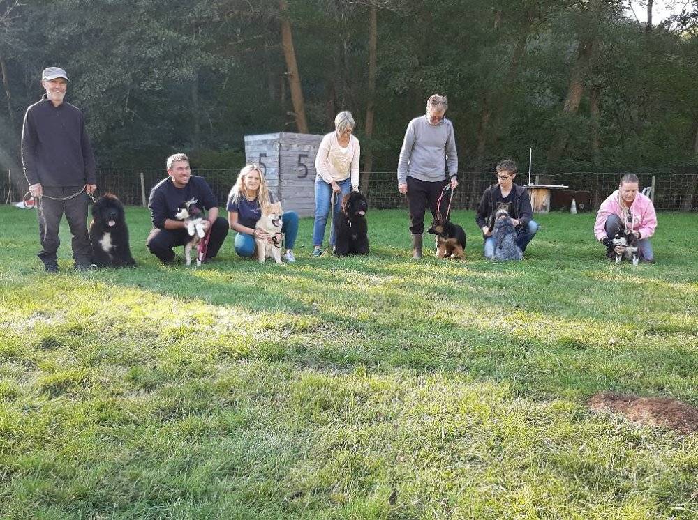 éducation canine