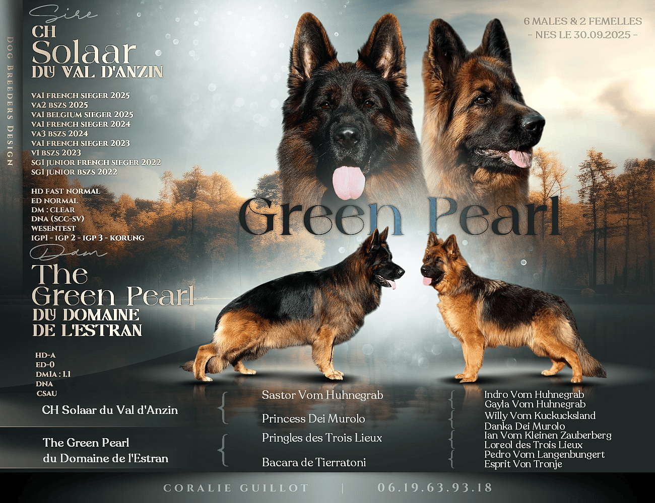 chiots green pearl
